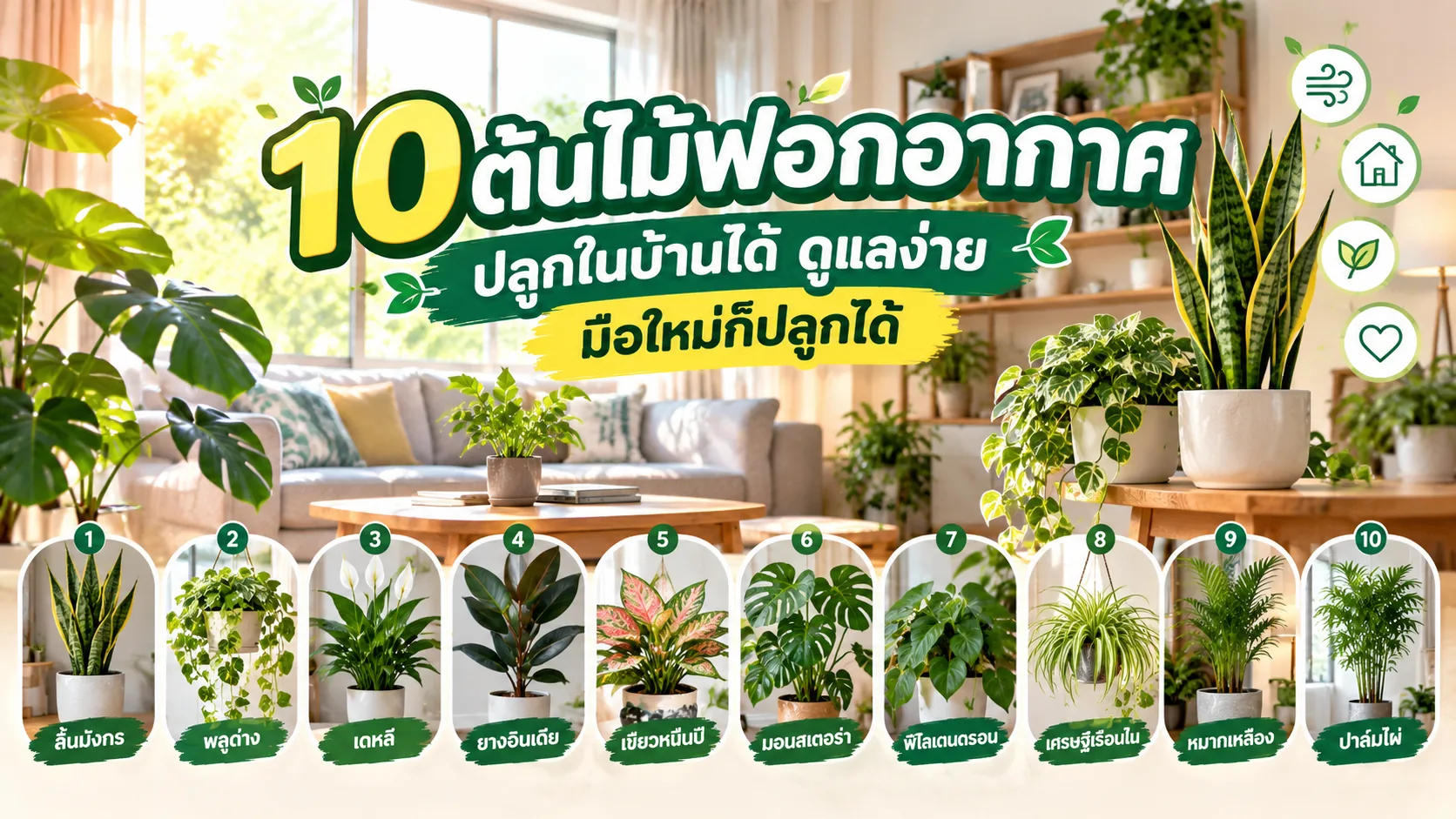 10 ต้นไม้ฟอกอากาศ ปลูกในบ้านได้ ดูแลง่าย มือใหม่ก็ปลูกได้