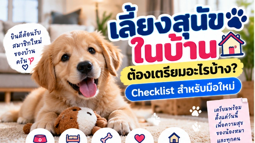 เลี้ยงสุนัขในบ้านต้องเตรียมอะไรบ้าง? Checklist สำหรับมือใหม่