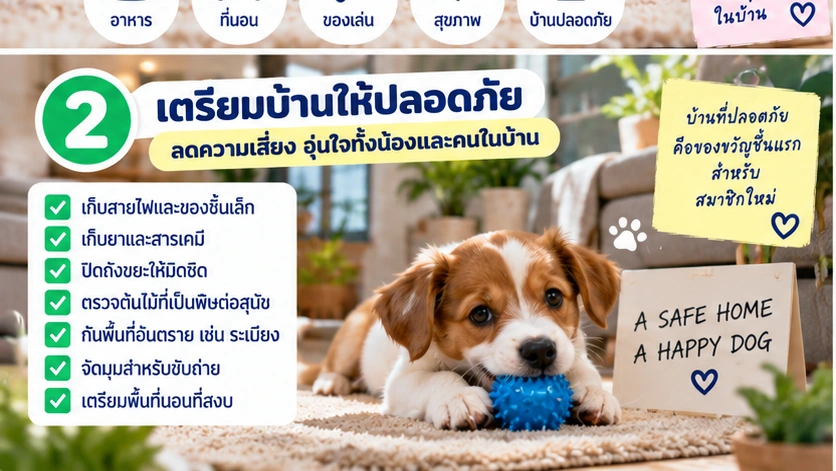 เตรียมบ้านให้ปลอดภัยสำหรับสุนัขและจัดพื้นที่ให้เหมาะสม
