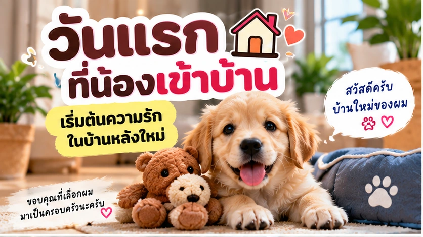วันแรกที่สุนัขเข้าบ้าน ค่อย ๆ เริ่มต้นและให้เวลาปรับตัว