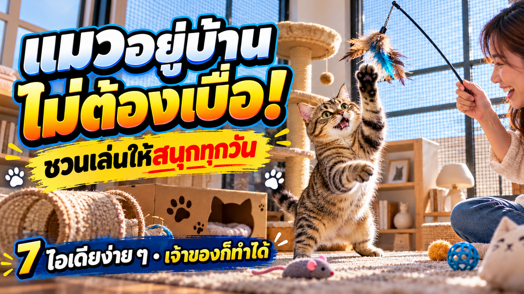 แมวอยู่บ้านไม่ต้องเบื่อ: 7 ไอเดียจัดพื้นที่และชวนเล่นให้เหมาะกับนิสัยแมว